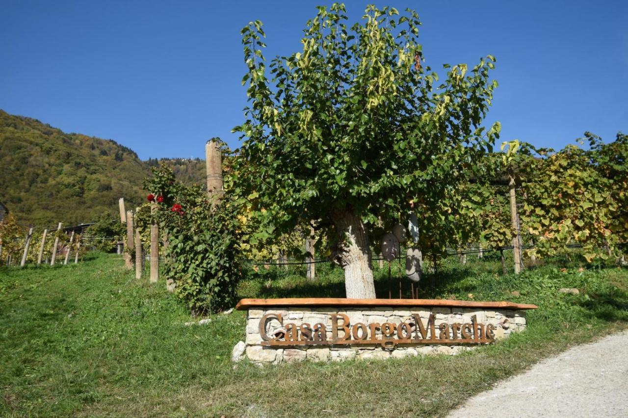 Agriturismo Casaborgomarche Valdobbiadene Exterior foto